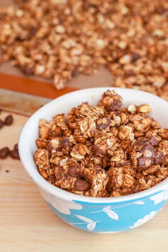 Healthy Oatmeal Raisin Cookie Granola (5 of 1)