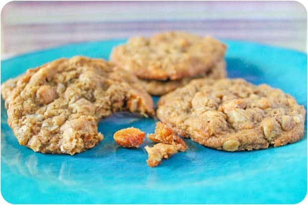 Oatmeal flax scotchies (2 of 2)-2