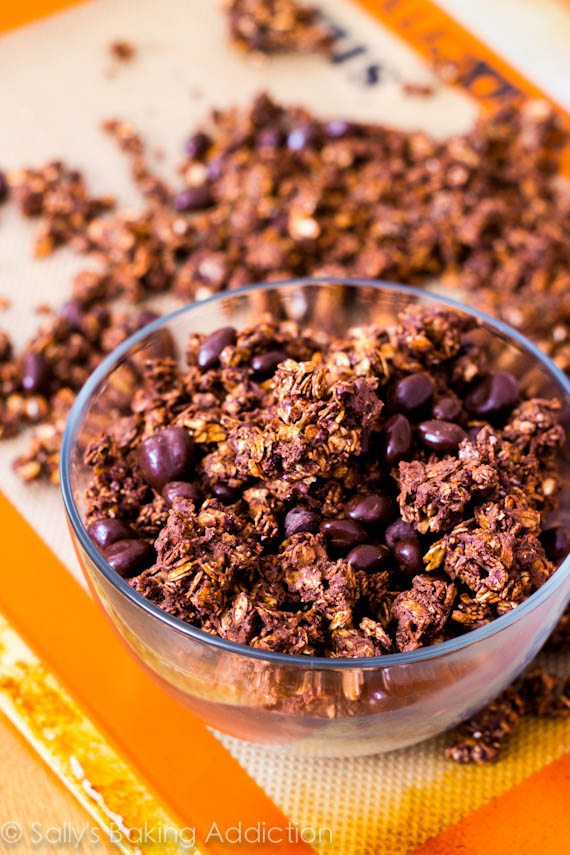 Triple Chocolate Crunch Granola by Sallys Baking Addiction