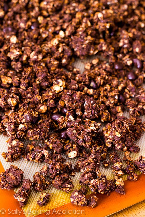 Triple Chocolate Crunch Granola by Sallys Baking Addiction