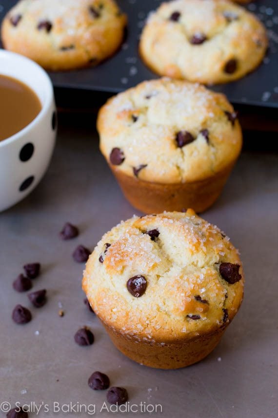 Bakery Style Chocolate Chip Muffins by sallysbakingaddiction.com