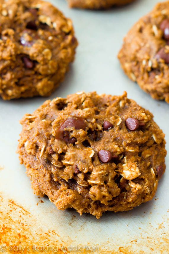 Where can you find healthy oatmeal cookie recipes?