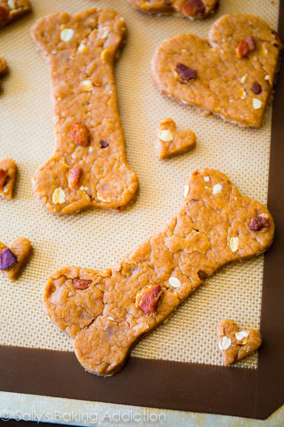 How to make Homemade Dog Treats for your pup
