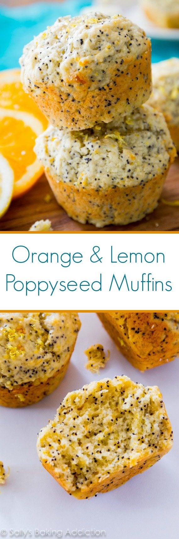 Orange Lemon Poppyseed Muffins - moist, sweet, and full of ...