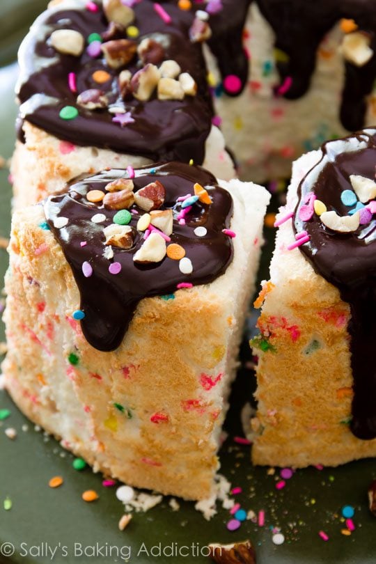Rainbow sprinkles, crunchy hazelnuts, and smooth chocolate ganache makes this fluffy angel food cake a huge party!