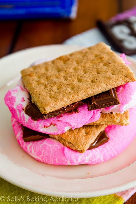 Peeps S'mores - Sallys Baking Addiction
