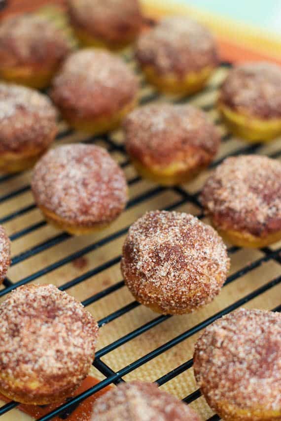 Mini Cinnamon Sugar Pumpkin Muffins - Sallys Baking Addiction