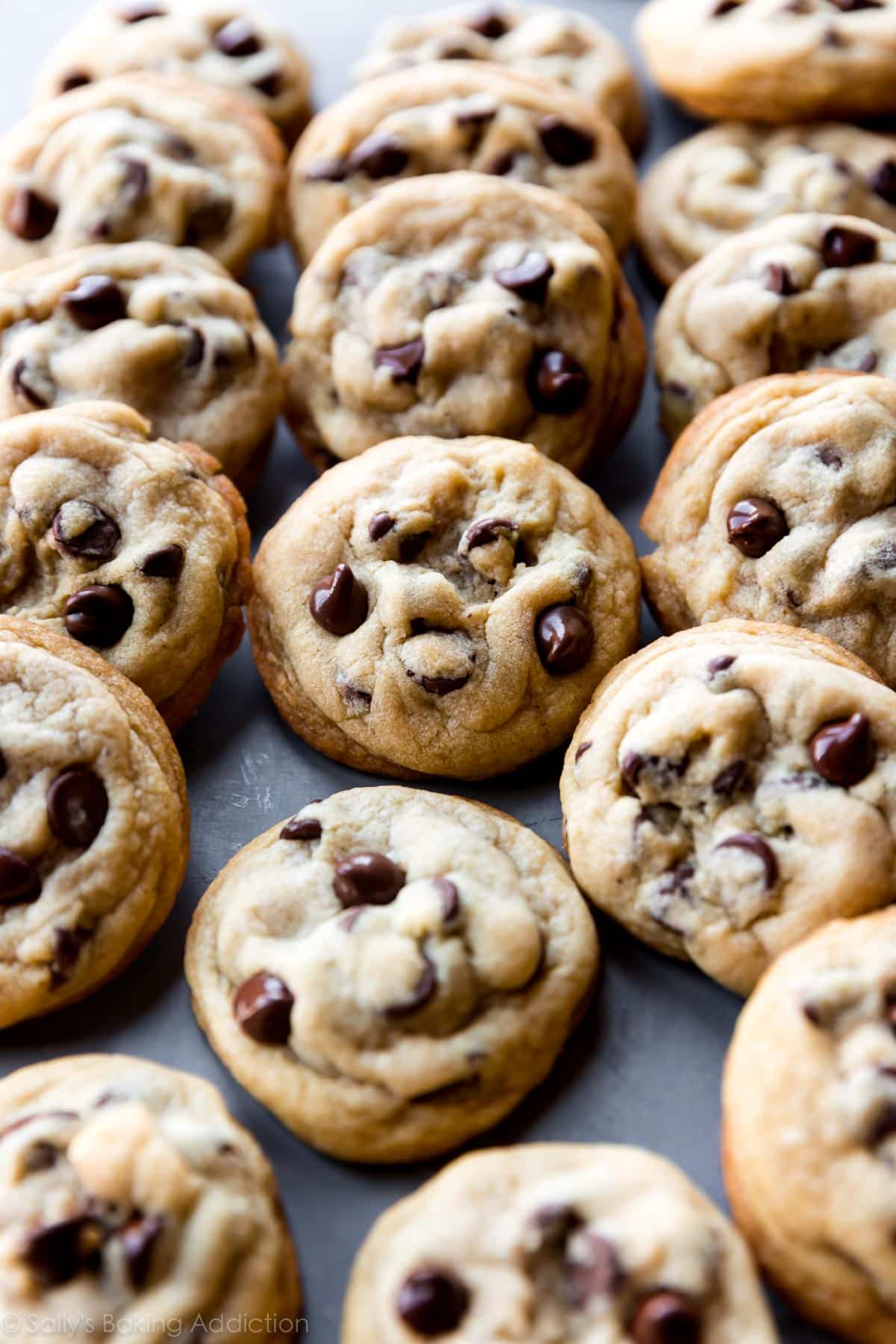 Rows of chocolate chip cookies