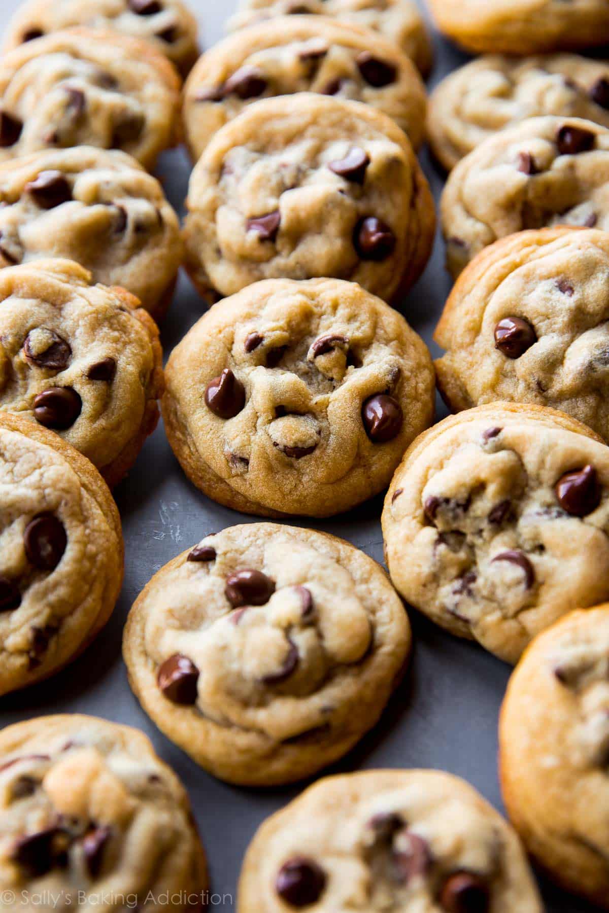 The Best Soft Chocolate Chip Cookies - Sallys Baking Addiction