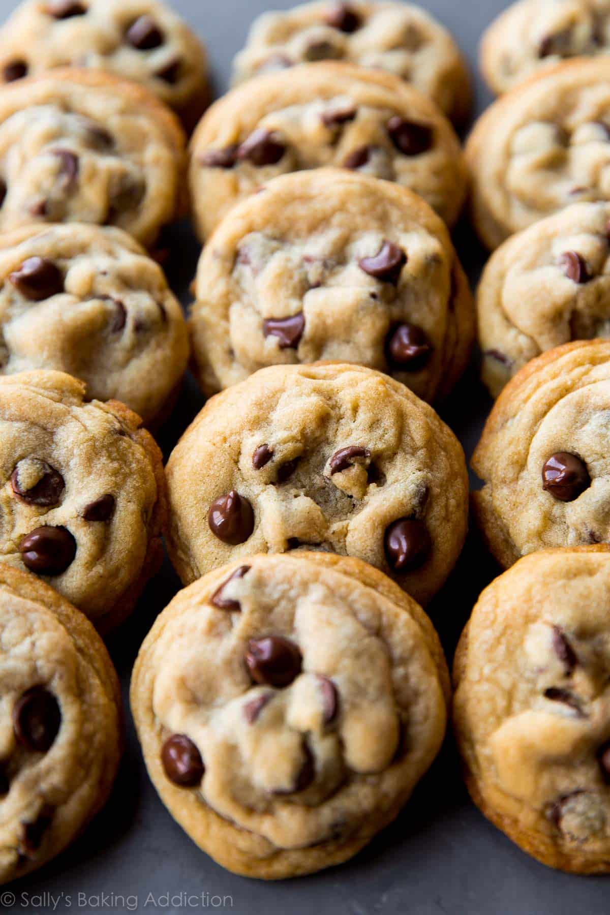 Soft baked chocolate chip cookies