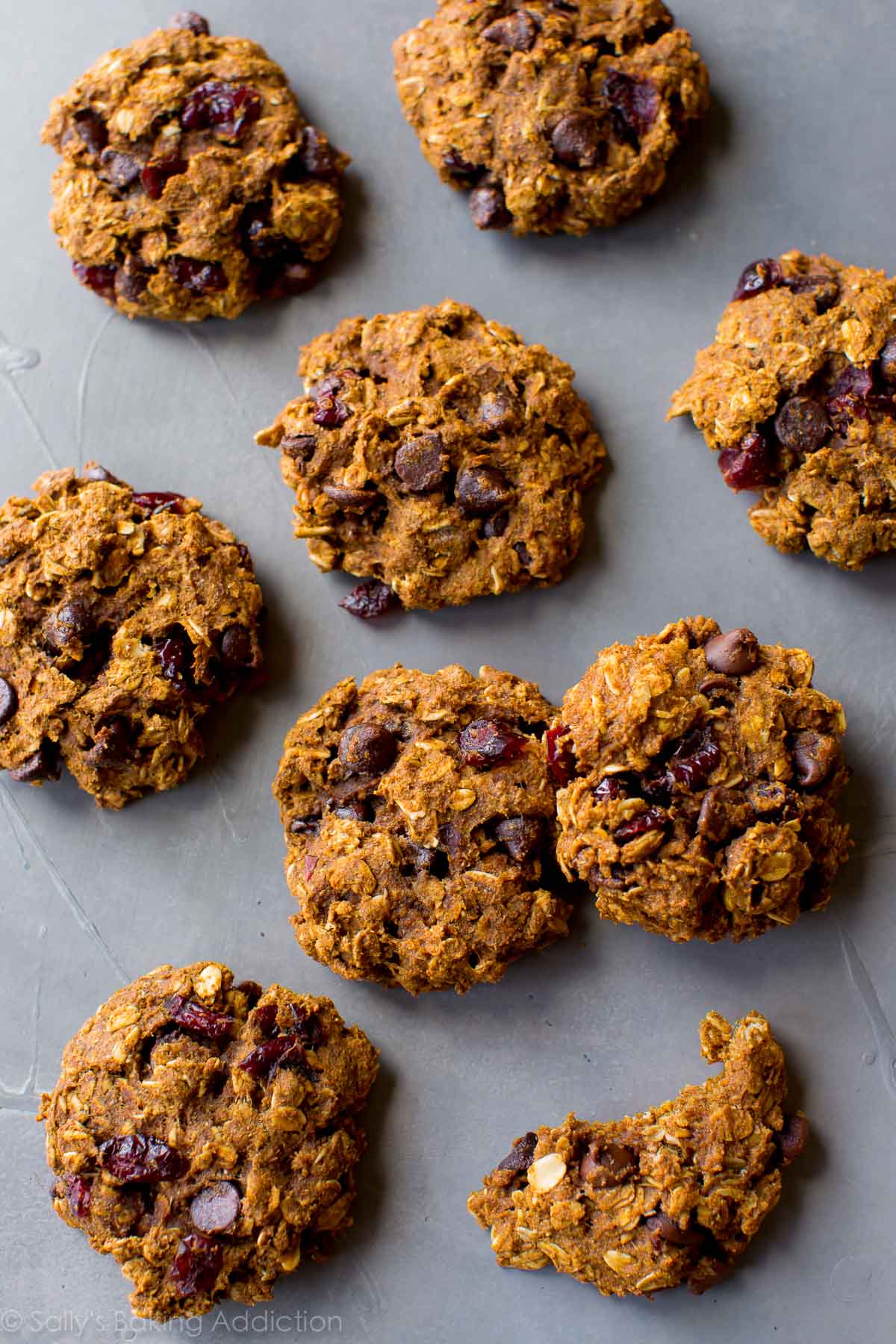 healthy pumpkin chocolate chip oatmeal cookies