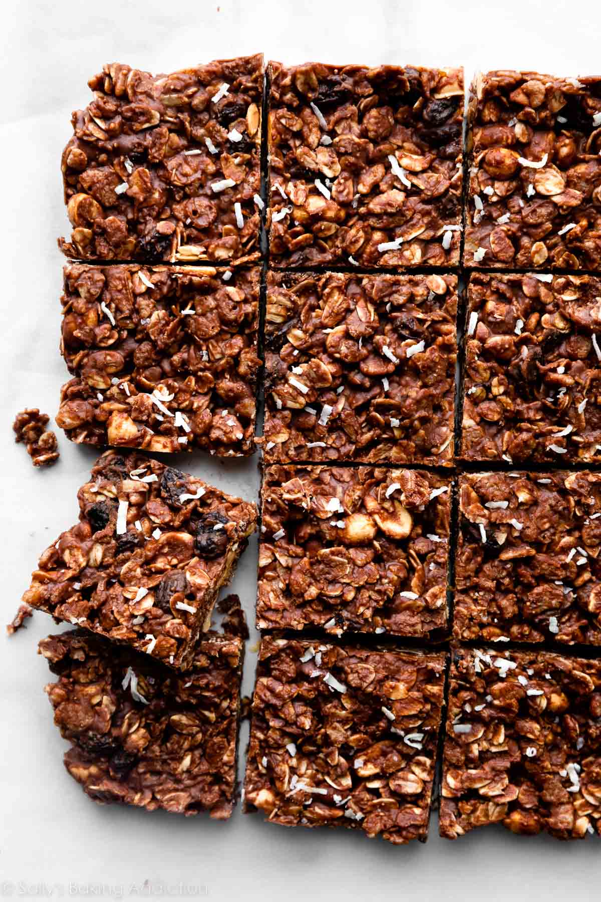 overhead photo of chocolate fudge peanut-filled oat bars cut into squares..
