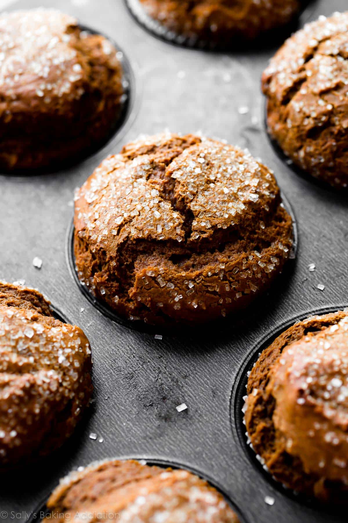 gingerbread muffins in a muffin pan