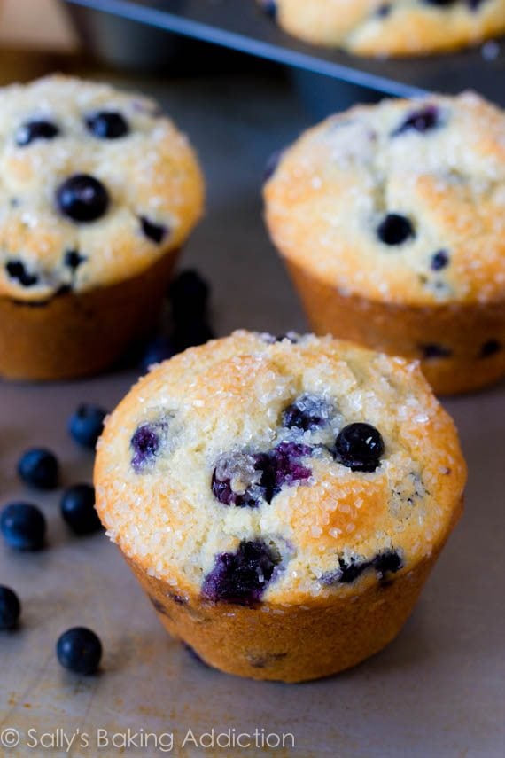 Sparkling Jumbo Blueberry Muffins - Sallys Baking Addiction