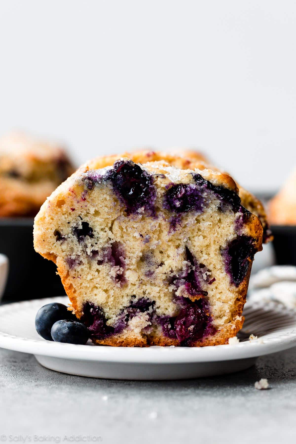jumbo blueberry muffin