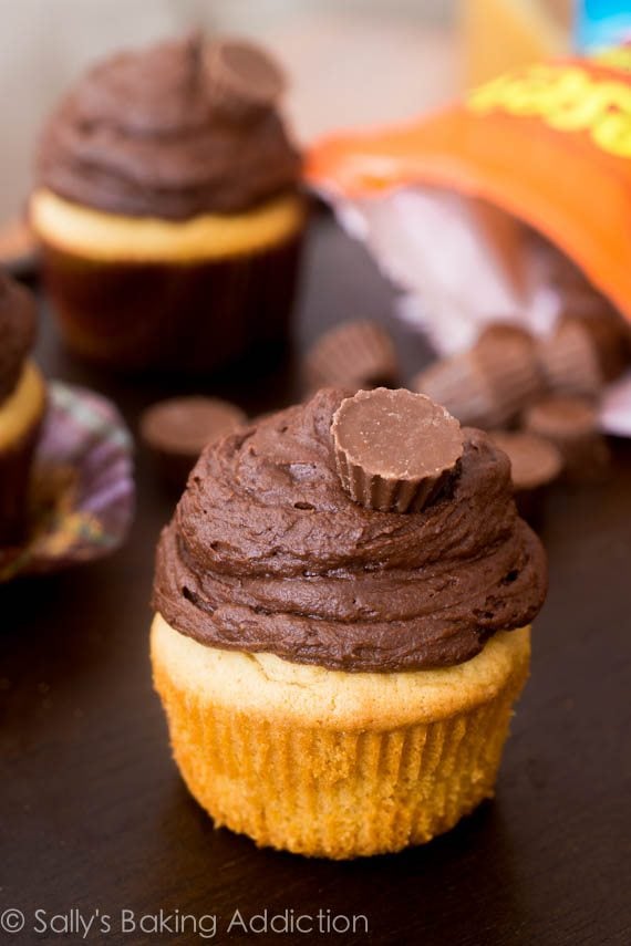 peanut butter cupcakes topped with dark chocolate frosting and a mini peanut butter cup