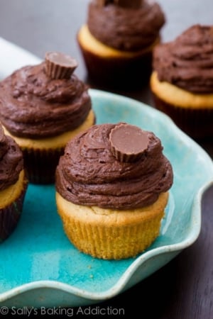 peanut butter cupcakes topped with dark chocolate frosting and a mini peanut butter cup on a teal plate