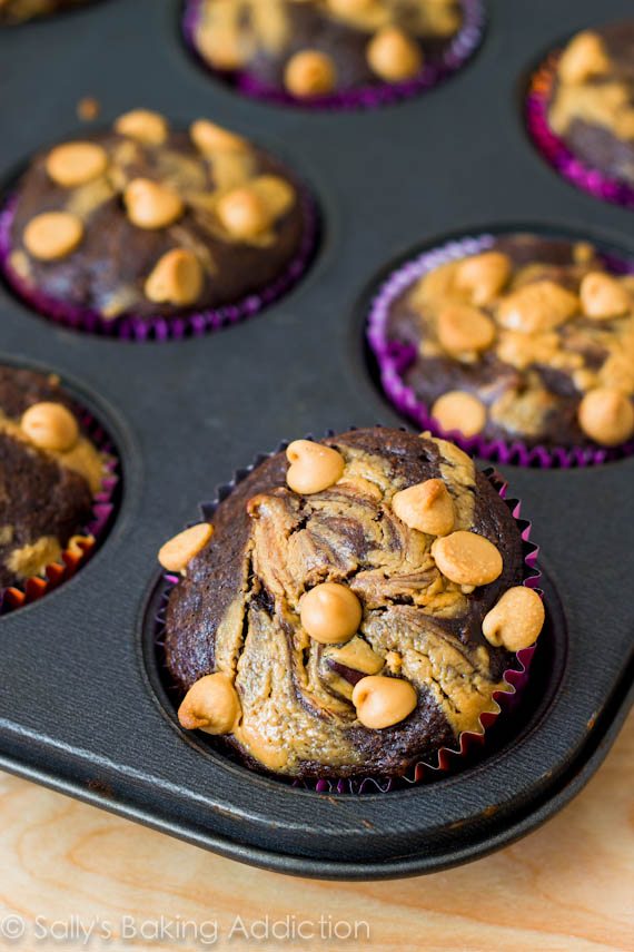 chocolate peanut butter cupcakes topped with peanut butter chips in a cupcake pan