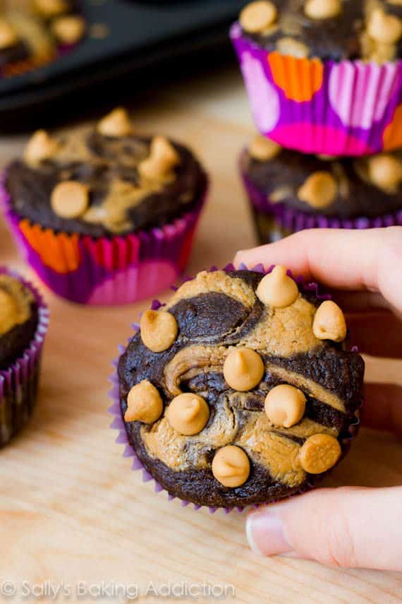 hand holding a chocolate peanut butter cupcake topped with peanut butter chips