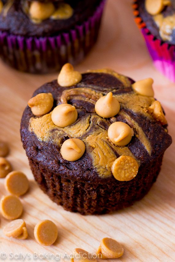 chocolate peanut butter cupcakes topped with peanut butter chips