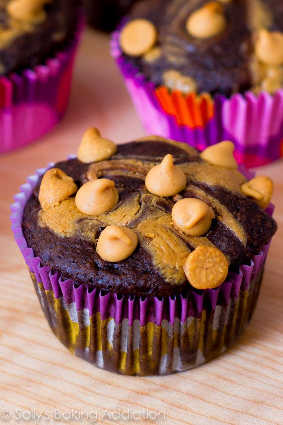 chocolate peanut butter cupcakes topped with peanut butter chips