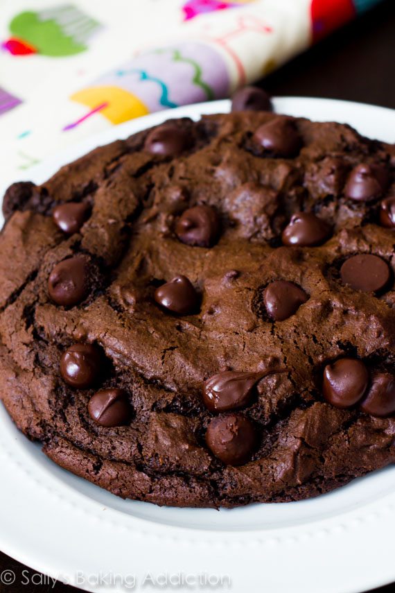 one giant chocolate cookie on a white plate