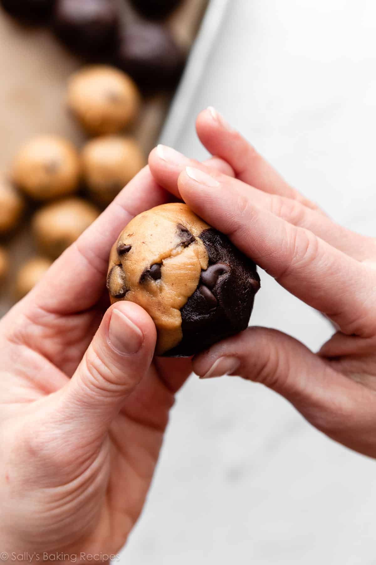 hands forming peanut butter chocolate swirl cookie dough ball.
