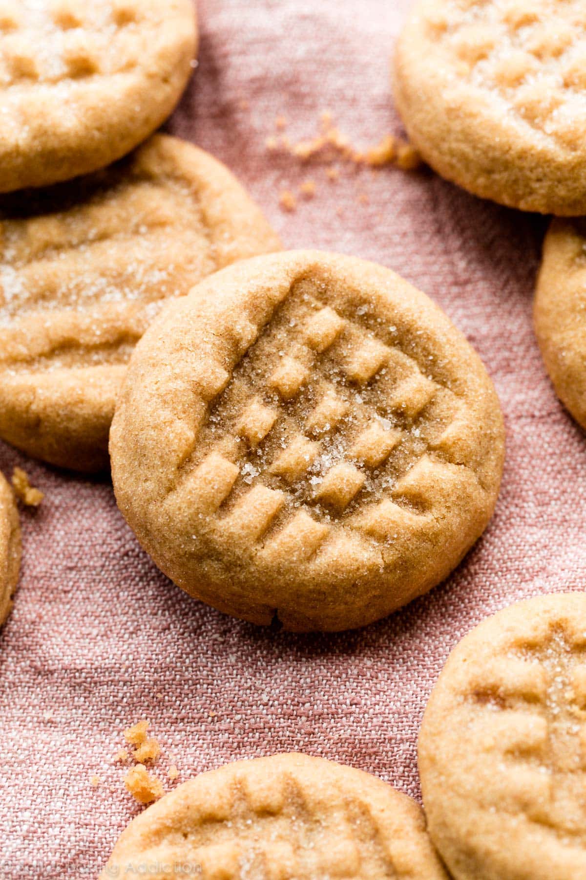 close-up of criss cross peanut butter cookie
