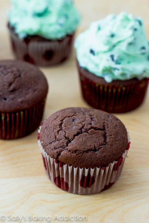 chocolate cupcakes topped with mint chip frosting