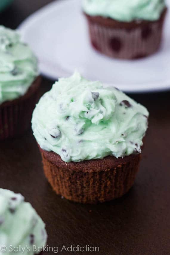 chocolate cupcakes topped with mint chip frosting