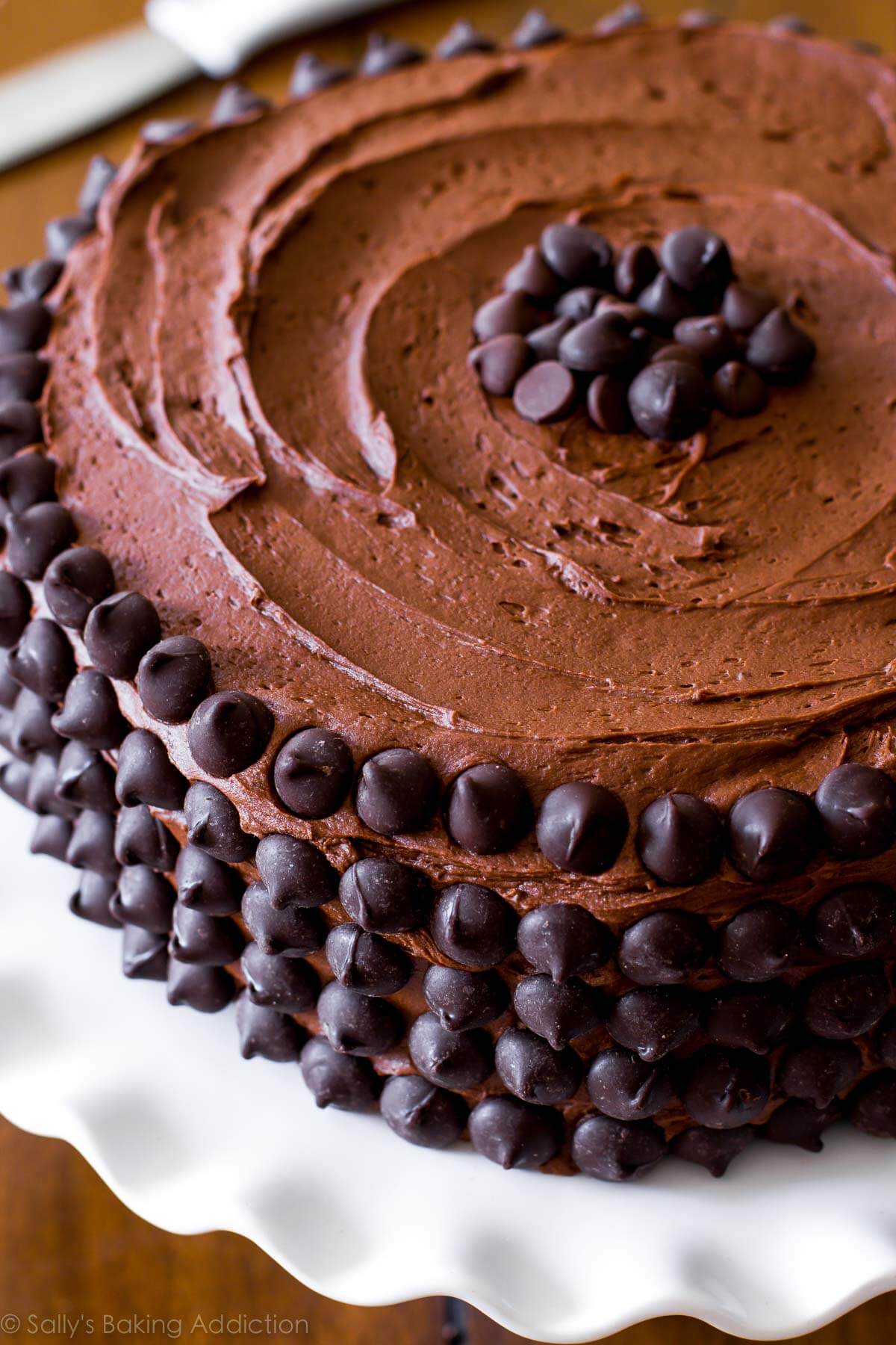 chocolate frosting on cake with chocolate chips around the exterior.