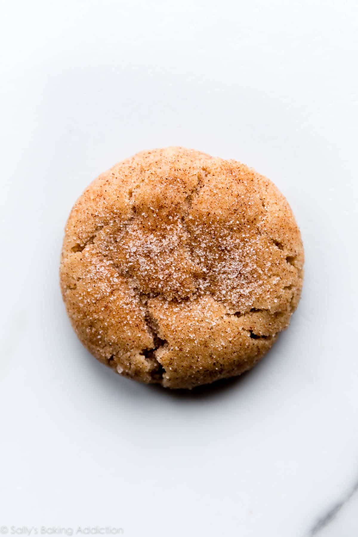 one snickerdoodle cookie