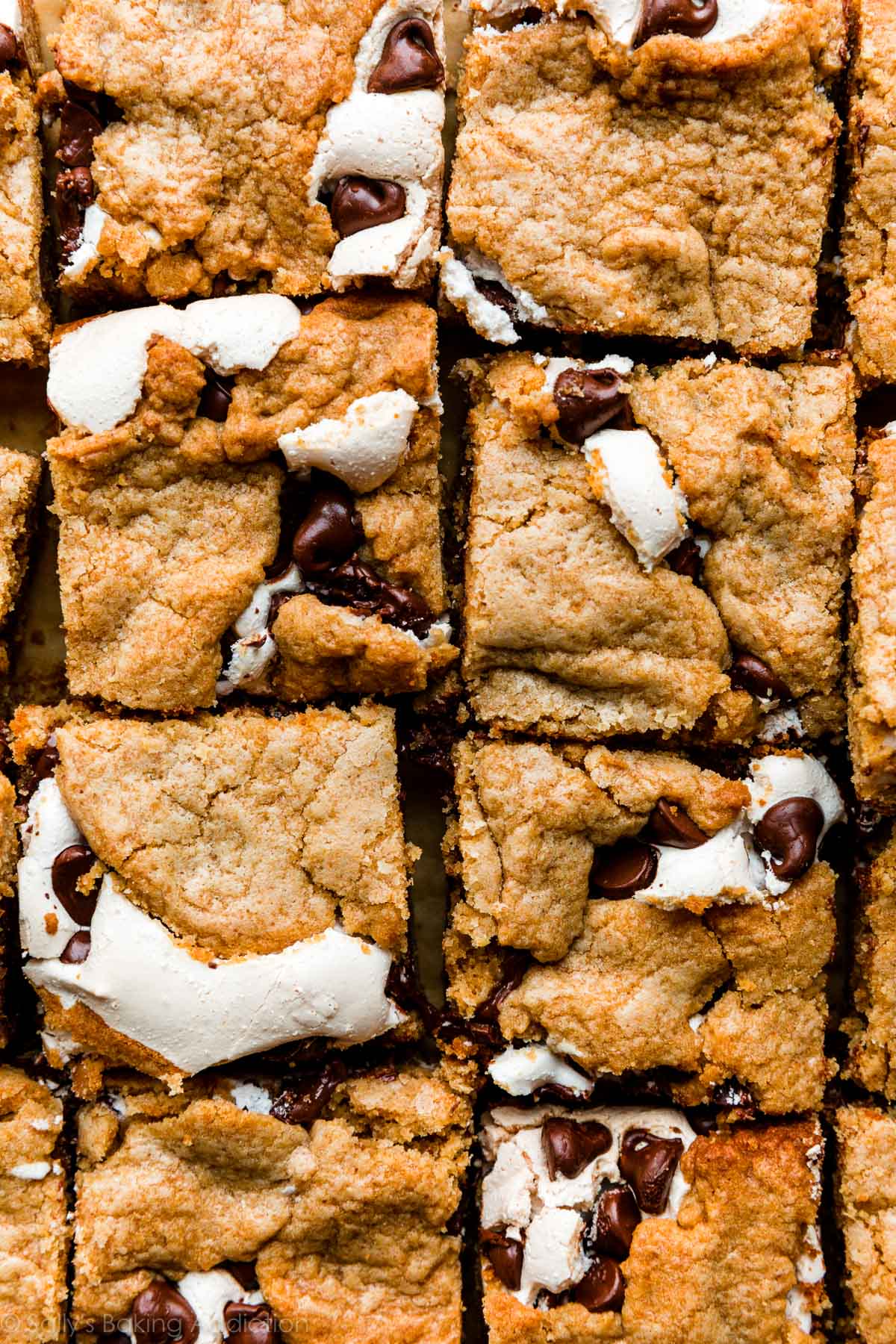top of s'more cookie bars with graham cracker cookie