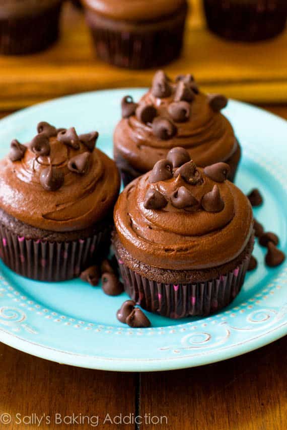 chocolate cupcakes topped with dark chocolate frosting and chocolate chips on a blue plate