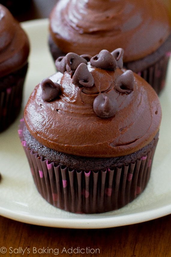 chocolate cupcakes topped with dark chocolate frosting and chocolate chips on a white plate