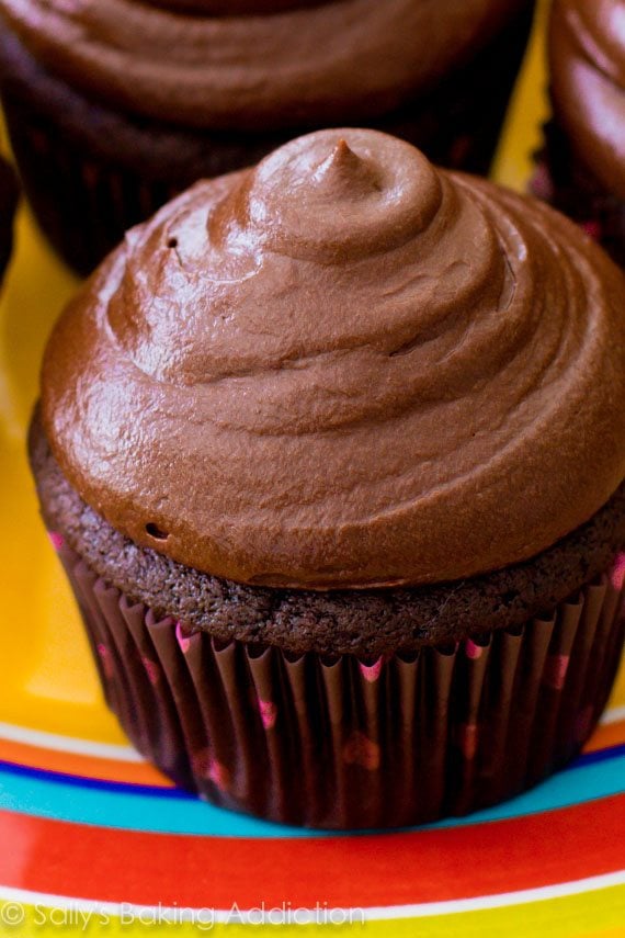 chocolate cupcakes topped with dark chocolate frosting
