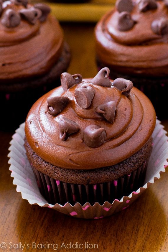chocolate cupcakes topped with dark chocolate frosting and chocolate chips