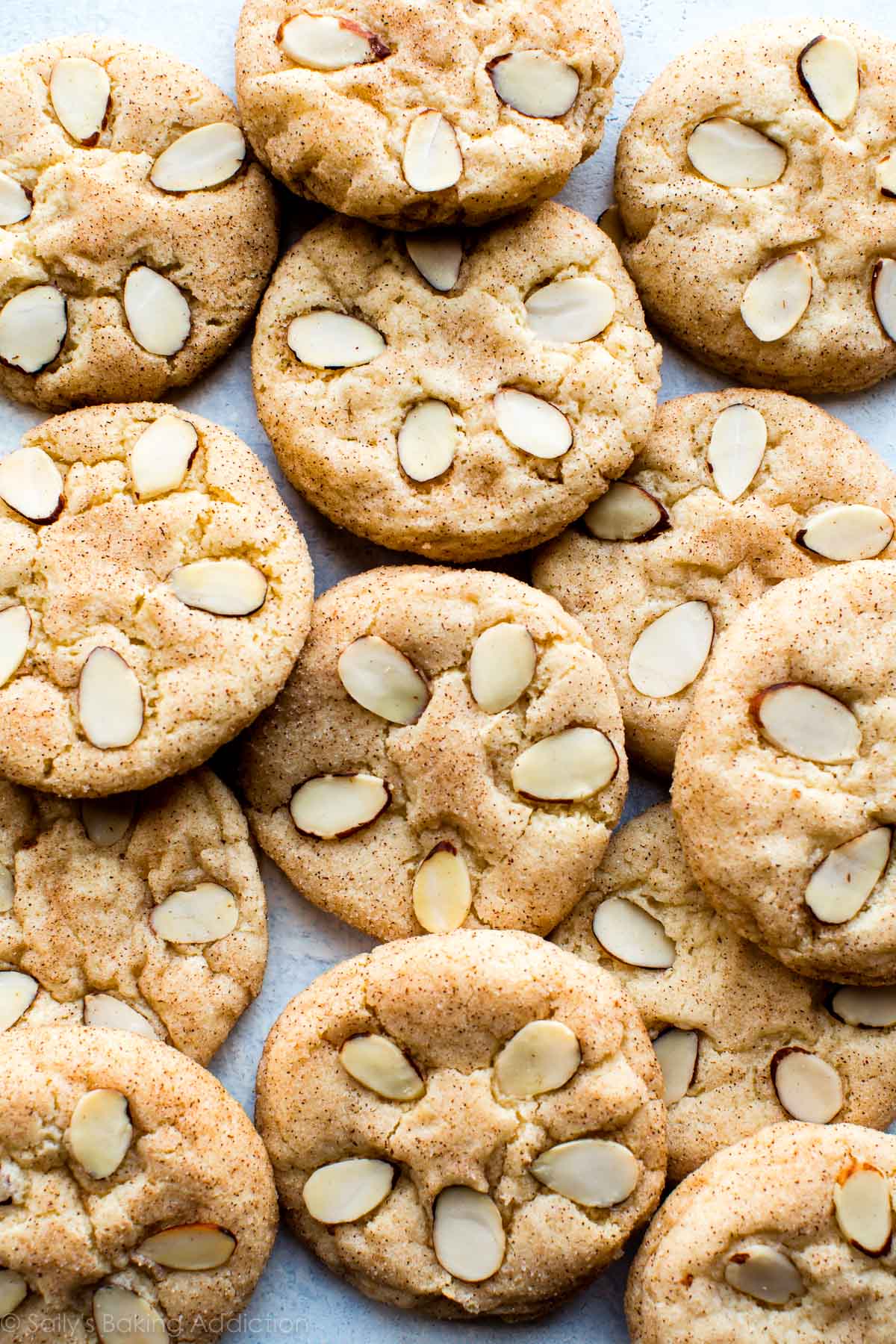 Cinnamon Sugar Sand Dollar Cookies - Sally's Baking Addiction.