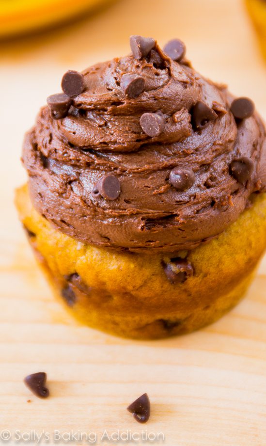 pumpkin chocolate chip cupcake topped with dark chocolate frosting
