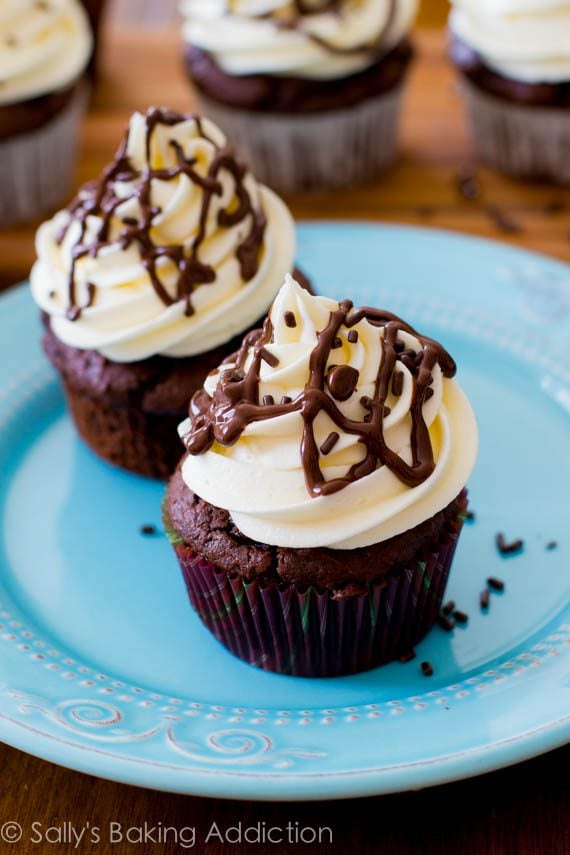 chocolate cupcakes topped with white chocolate frosting and chocolate sprinkles on a blue plate