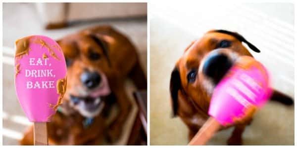 2 images of jude dog licking a pink spatula with peanut butter on it