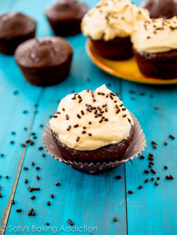 chocolate cupcakes topped with peanut butter Greek yogurt frosting and chocolate sprinkles