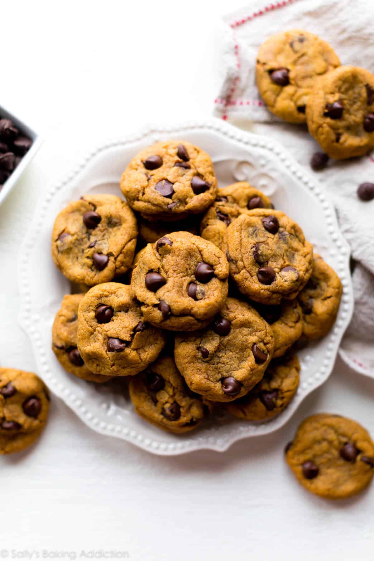 pumpkin chocolate chip cookies on a white plate