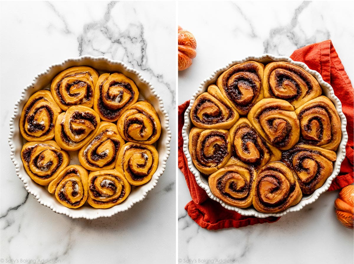pumpkin cinnamon rolls before and after baking