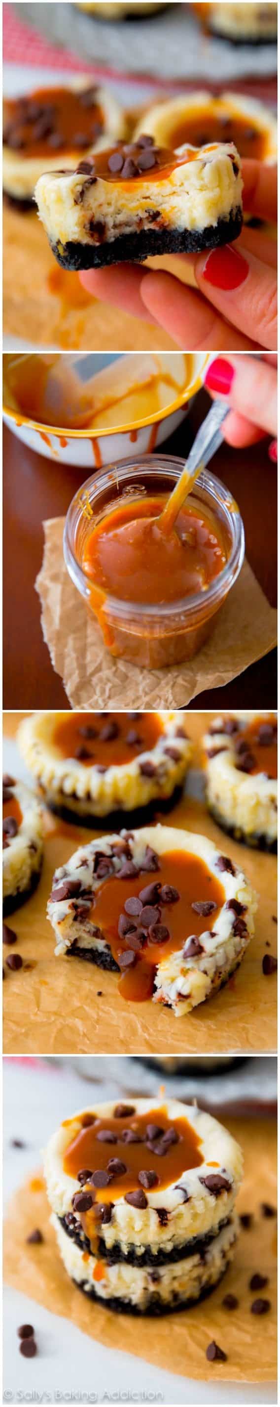 4 images of mini salted caramel chocolate chip cheesecakes