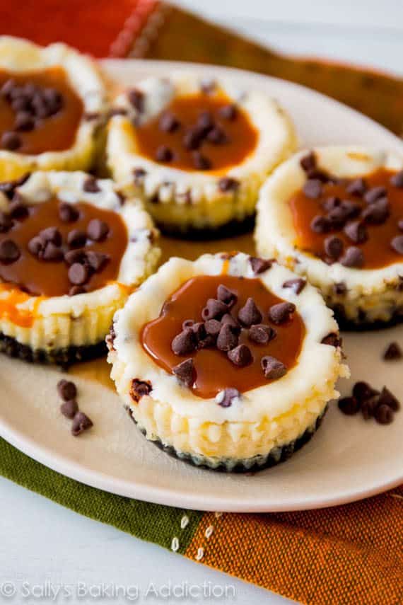 mini salted caramel chocolate chip cheesecakes on a white plate