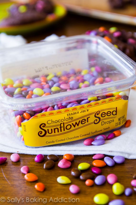 container of chocolate sunflower seeds