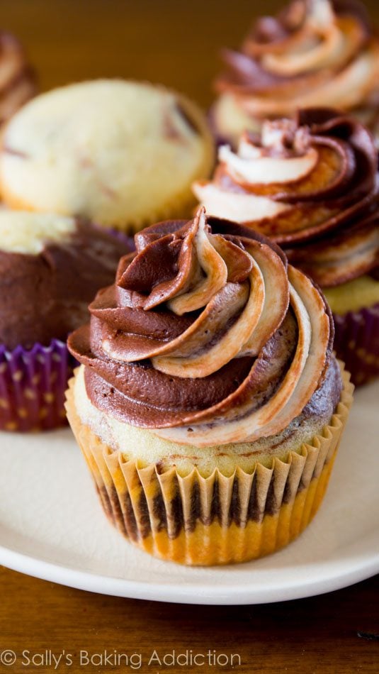 marble cupcakes topped with chocolate vanilla swirl frosting on a white plate