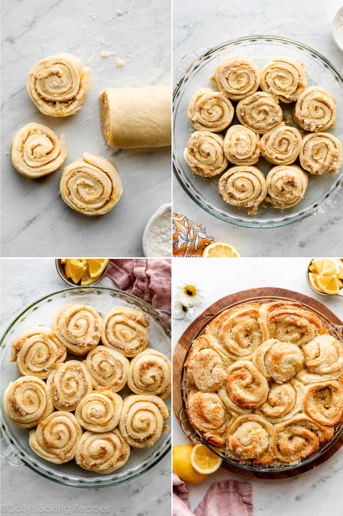 4 photo collage showing rolled up lemon sweet rolls before and after rising, and after baking.