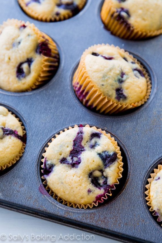 blueberry cupcakes in a cupcake pan